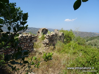 n Michele Forza Agro-13-08-2020 14